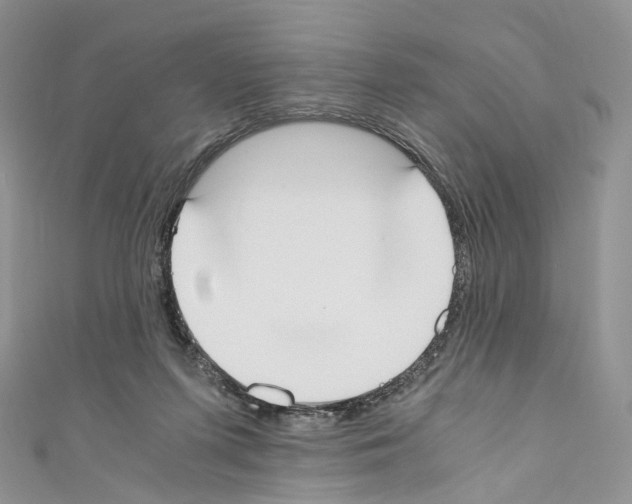 X0000110690215200907241111