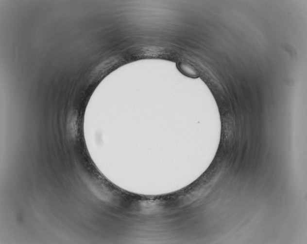 X0000110690216200907241111