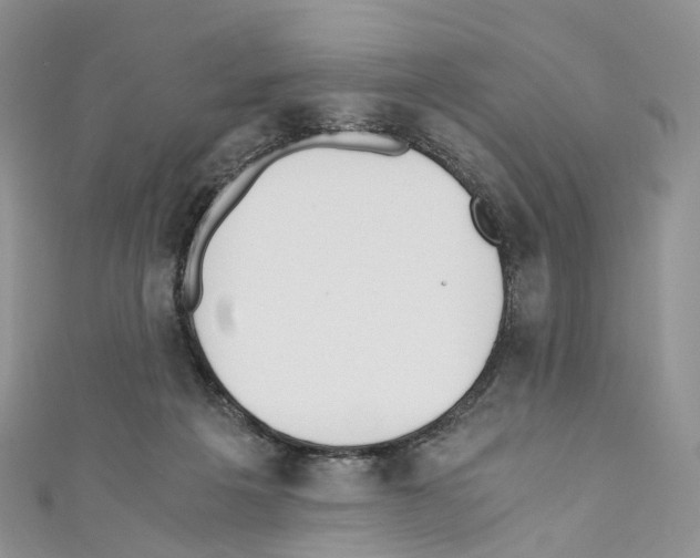 X0000110690217200907241111