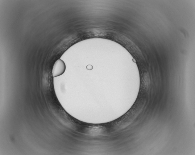 X0000110690218200907241111