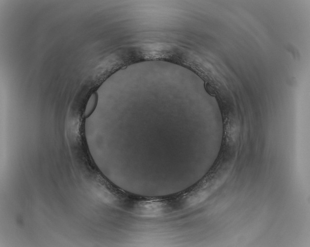 X0000110690219200907241111