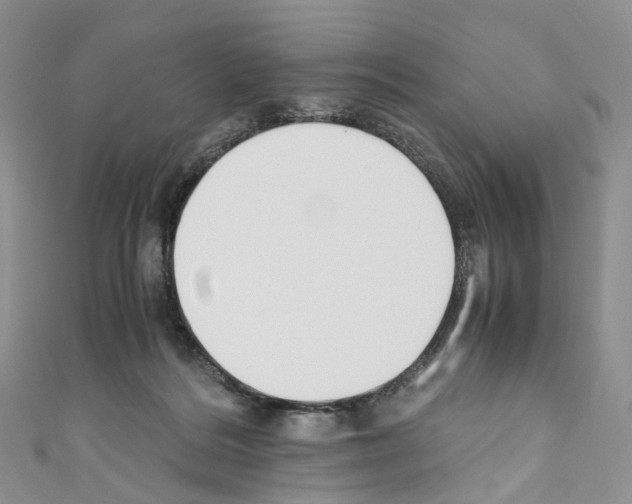 X0000110690220200907241111