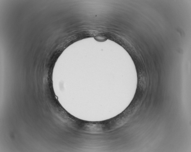 X0000110690221200907241111