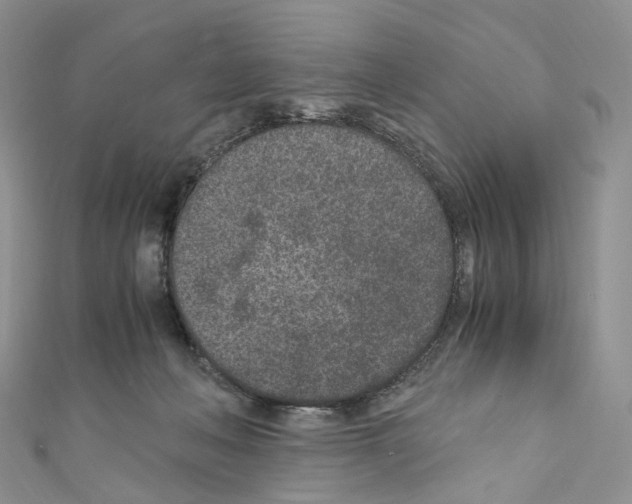 X0000110690222200907241111