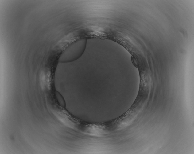 X0000110690223200907241111