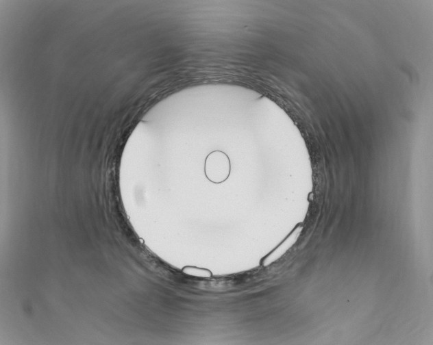 X0000110690225200907241111