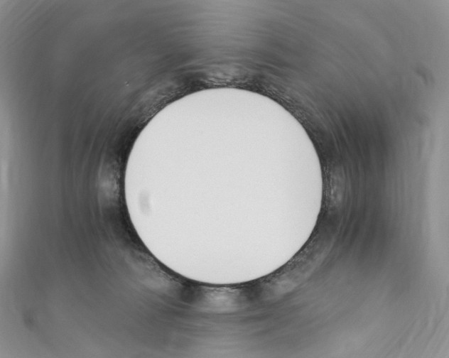 X0000110690226200907241111