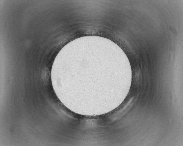 X0000110690228200907241111