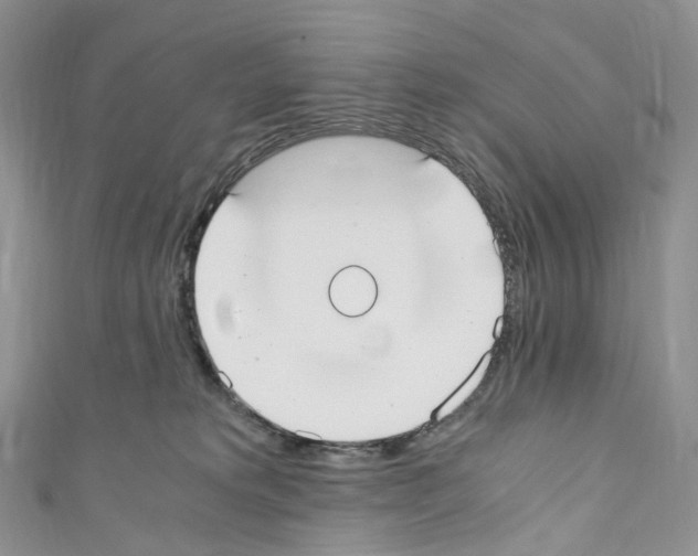 X0000110690229200907241111