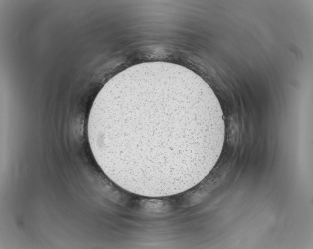 X0000110690230200907241111