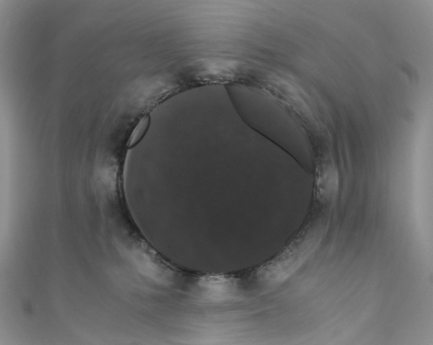 X0000110690231200907241111