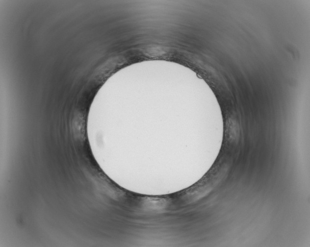 X0000110690234200907241111