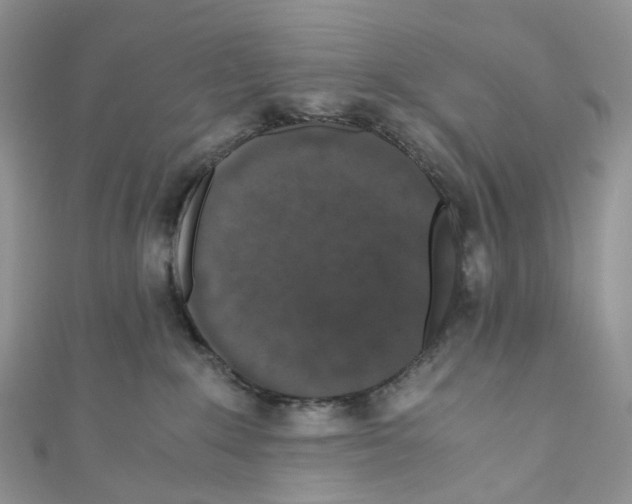 X0000110690235200907241111