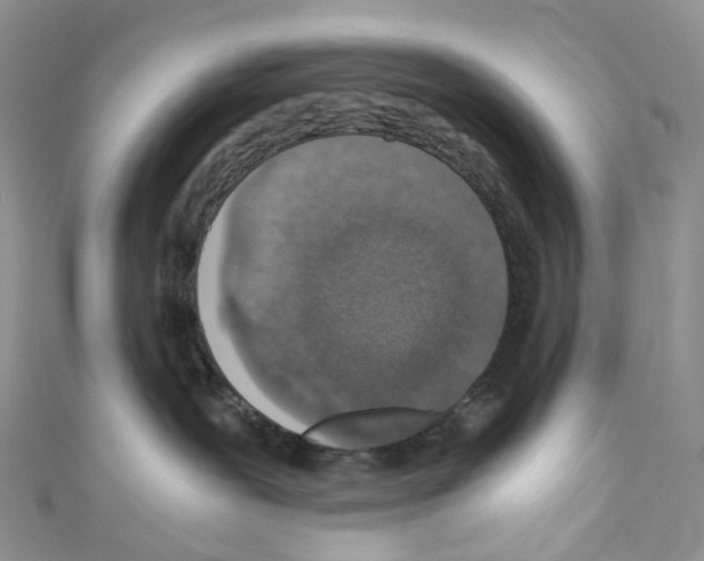 X0000110690239200907241111