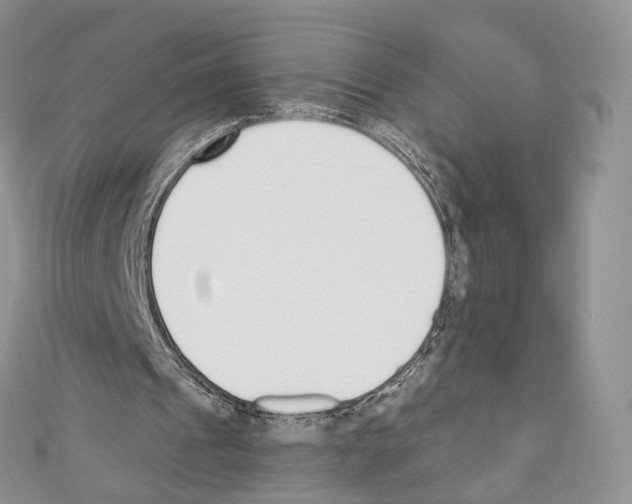 X0000110690241200907241110