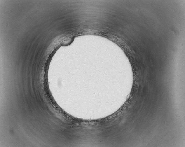 X0000110690242200907241110