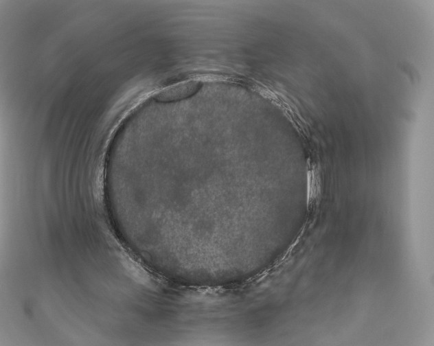 X0000110690243200907241110