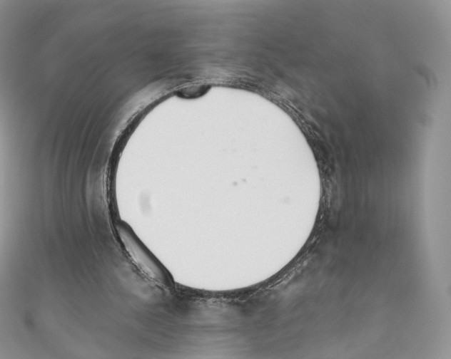 X0000110690244200907241110