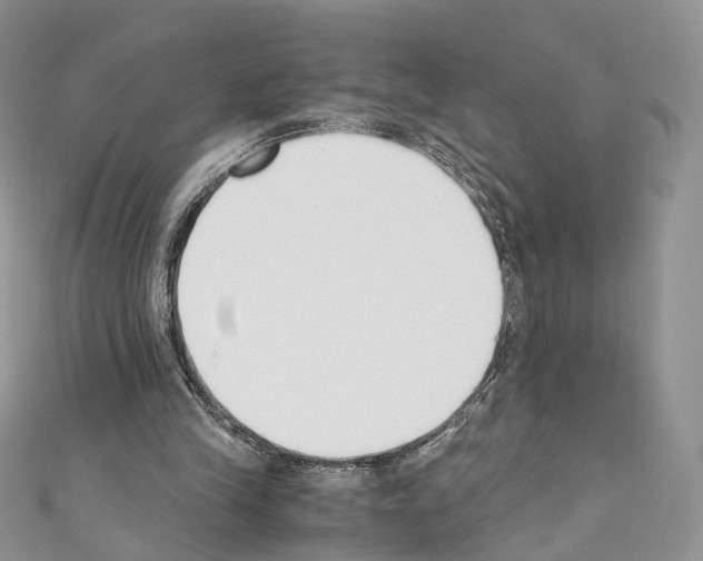 X0000110690245200907241110