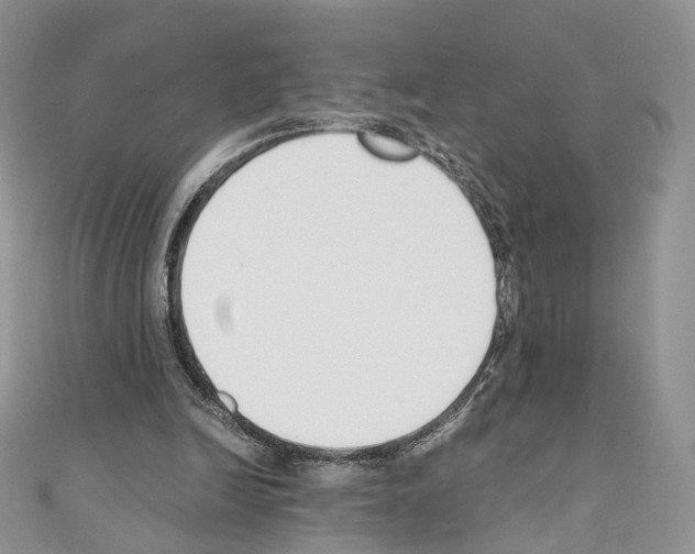 X0000110690246200907241110