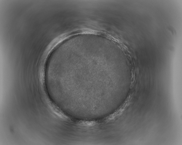 X0000110690247200907241110