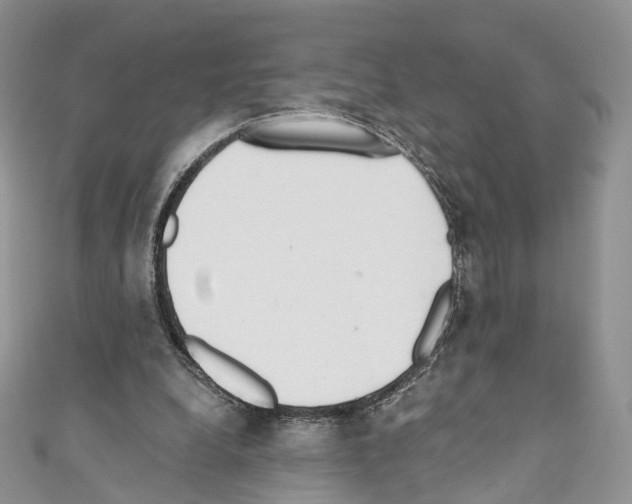 X0000110690248200907241110