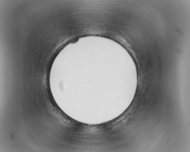 X0000110690249200907241110