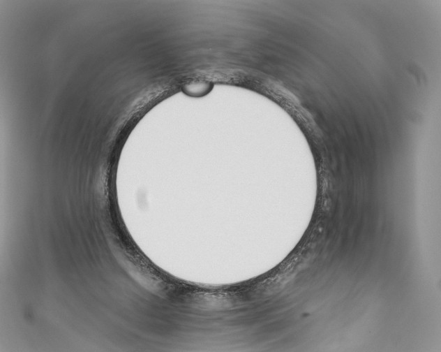 X0000110690250200907241110