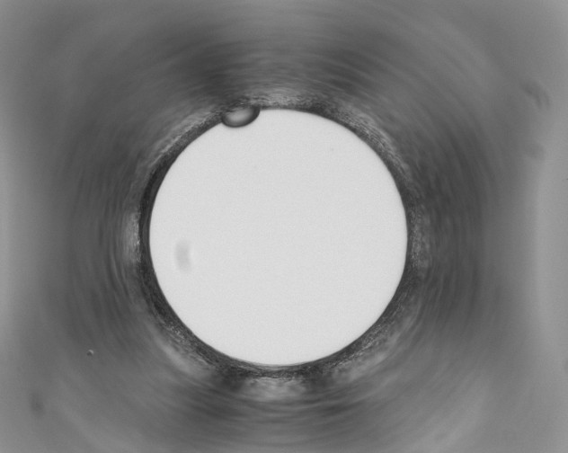 X0000110690251200907241110