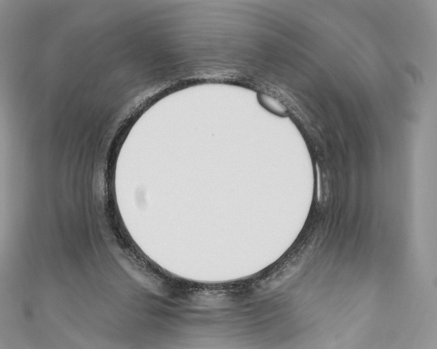 X0000110690252200907241110