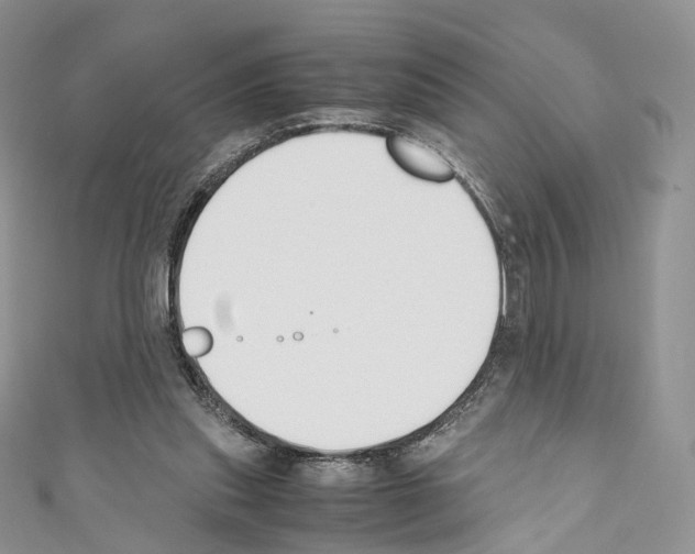 X0000110690253200907241110