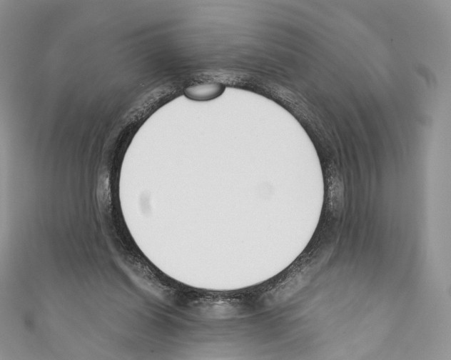 X0000110690254200907241110