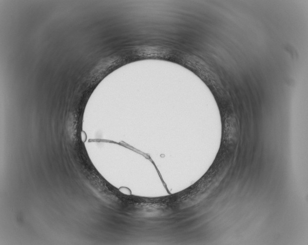 X0000110690255200907241110