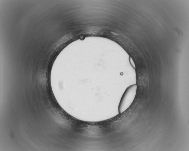 X0000110690256200907241110