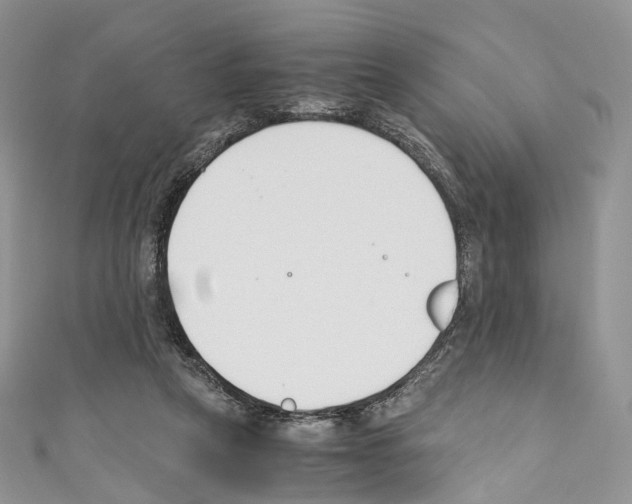 X0000110690257200907241110