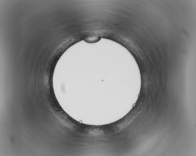 X0000110690258200907241110