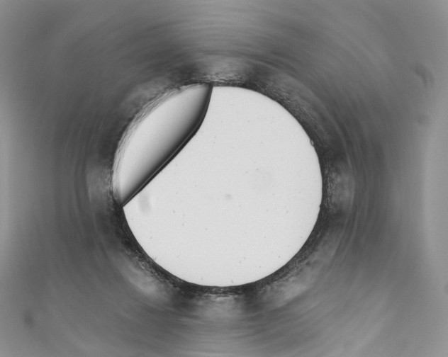 X0000110690260200907241110