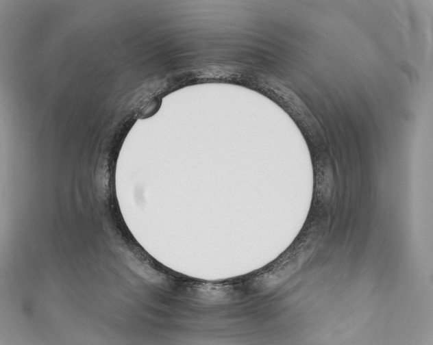 X0000110690261200907241110