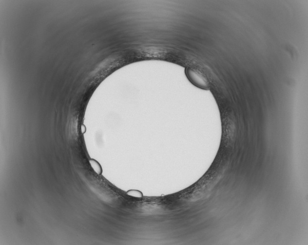 X0000110690262200907241110