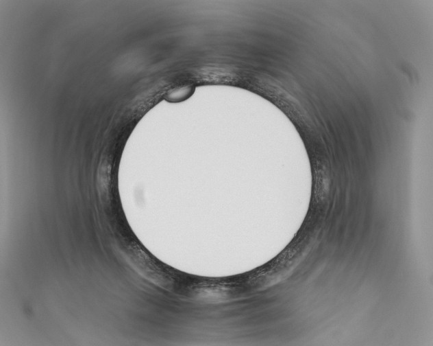 X0000110690263200907241110