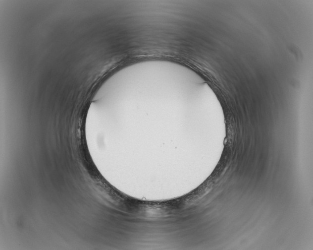 X0000110690264200907241110