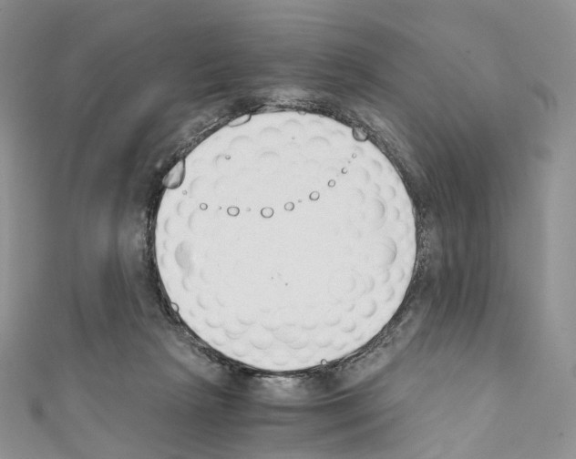 X0000110690265200907241110