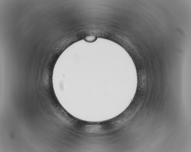 X0000110690266200907241110