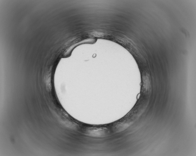 X0000110690267200907241110