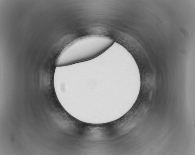 X0000110690268200907241110