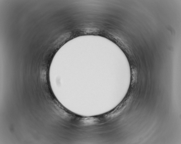 X0000110690269200907241110