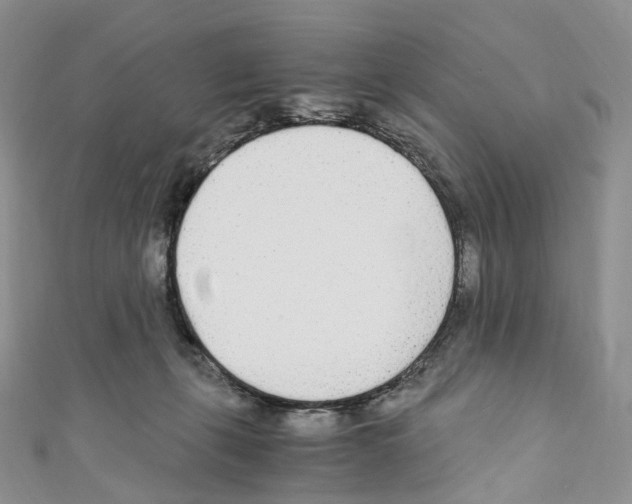 X0000110690271200907241110