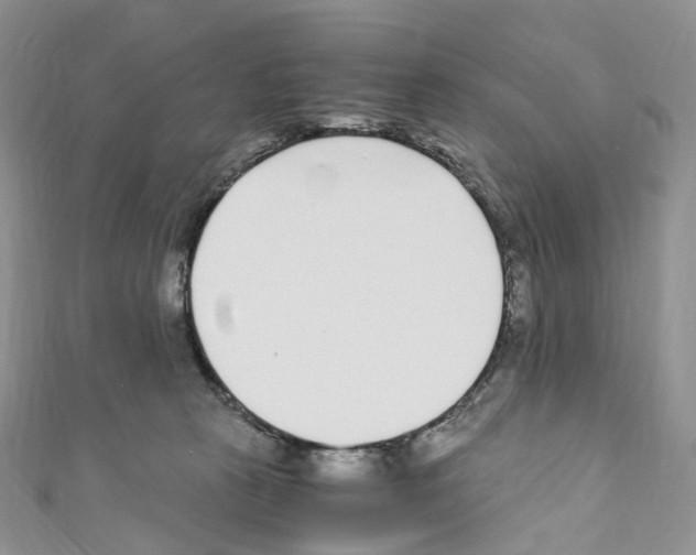 X0000110690273200907241110