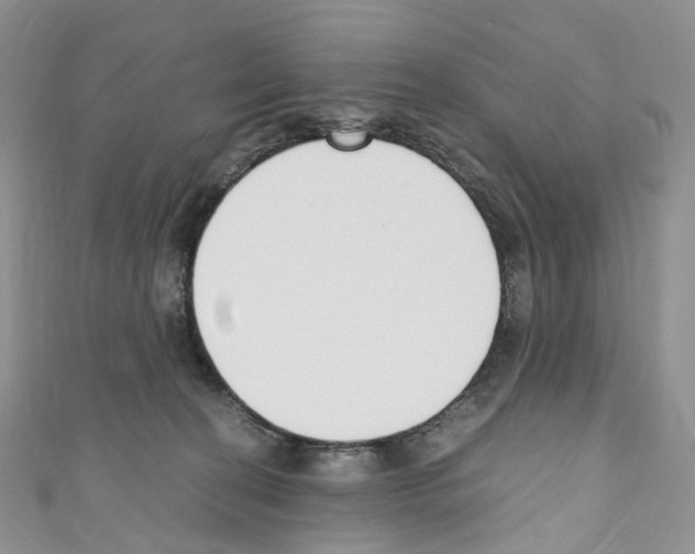 X0000110690274200907241110