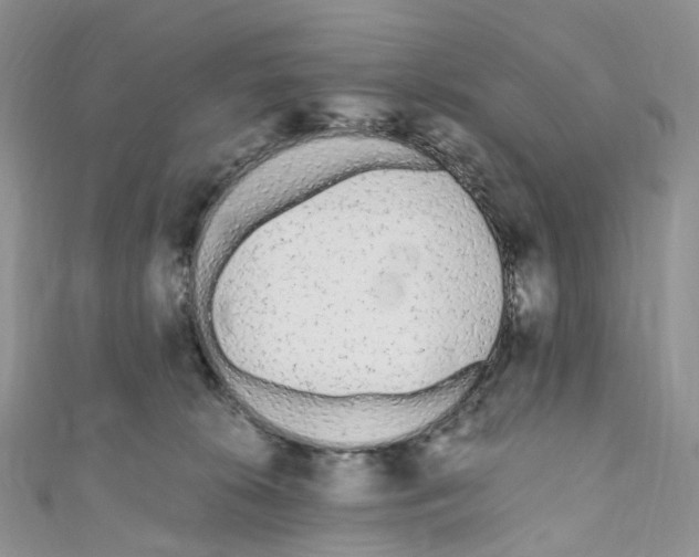 X0000110690276200907241110